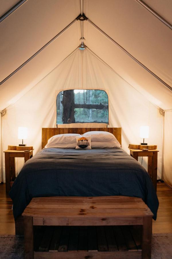 Treehouse Cozy Glamping Site Ξενοδοχείο Μπράνσον Εξωτερικό φωτογραφία