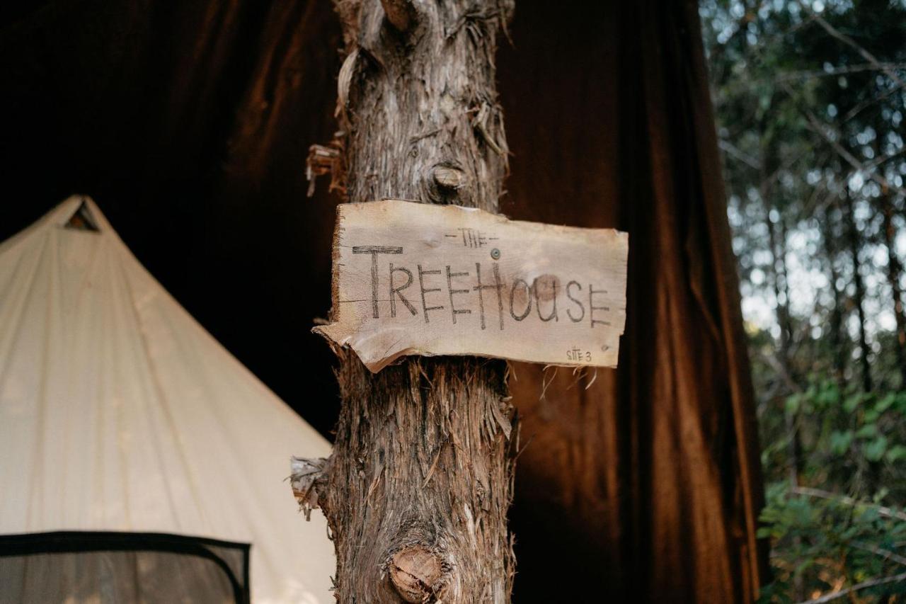 Treehouse Cozy Glamping Site Ξενοδοχείο Μπράνσον Εξωτερικό φωτογραφία